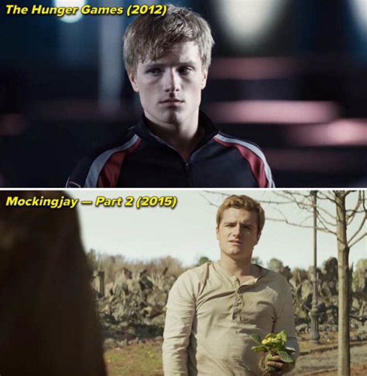 Cast of The Hunger Games: Mockingjay &ndash; Part 1: A Comprehensive Guide to the Stars Who Brought Panem to Life