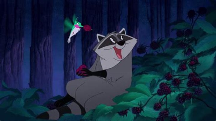 Discovering the Raccoon in Pocahontas: A Fascinating Look at Wildlife and Animation
