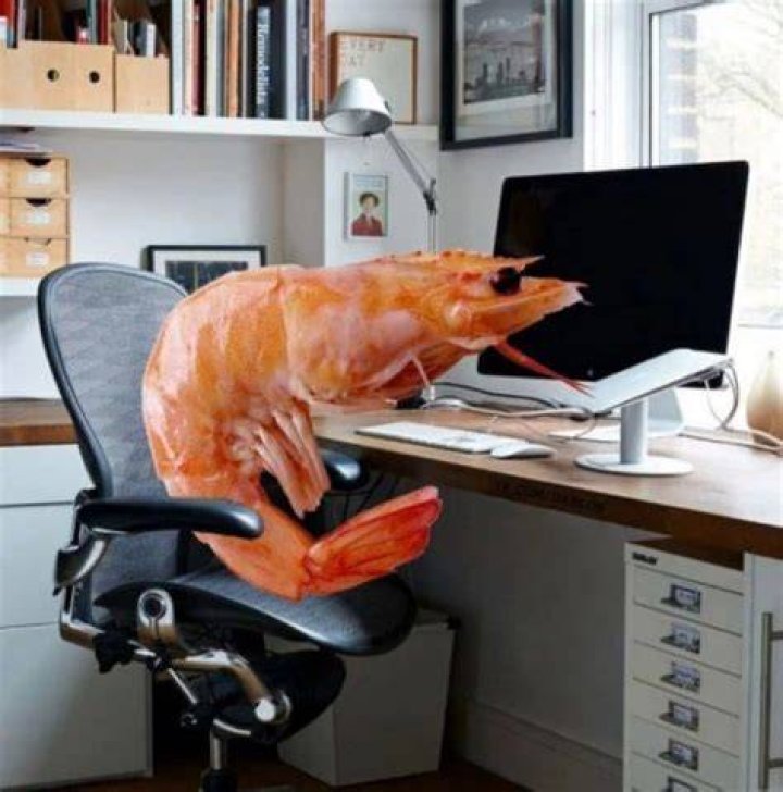 Funny Shrimp Gif: The Ultimate Guide to Laughter, Entertainment, and Pop Culture