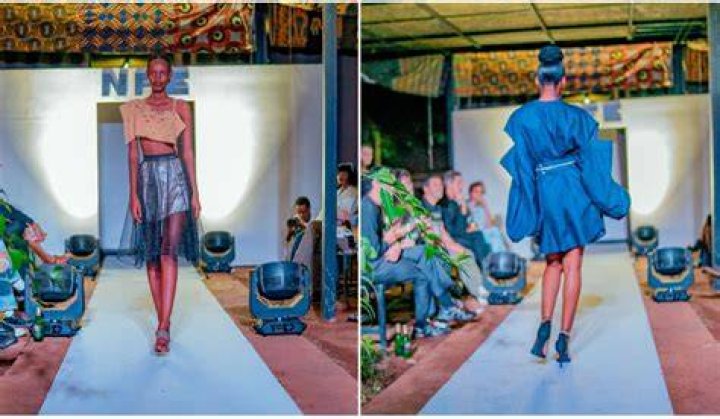 Mary Tachibanas: The Visionary Fashion Designer Redefining Style