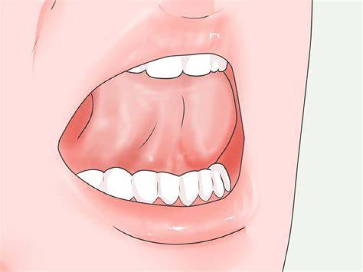 Mastering the Art of Gleeking: A Comprehensive Guide on How to Gleek