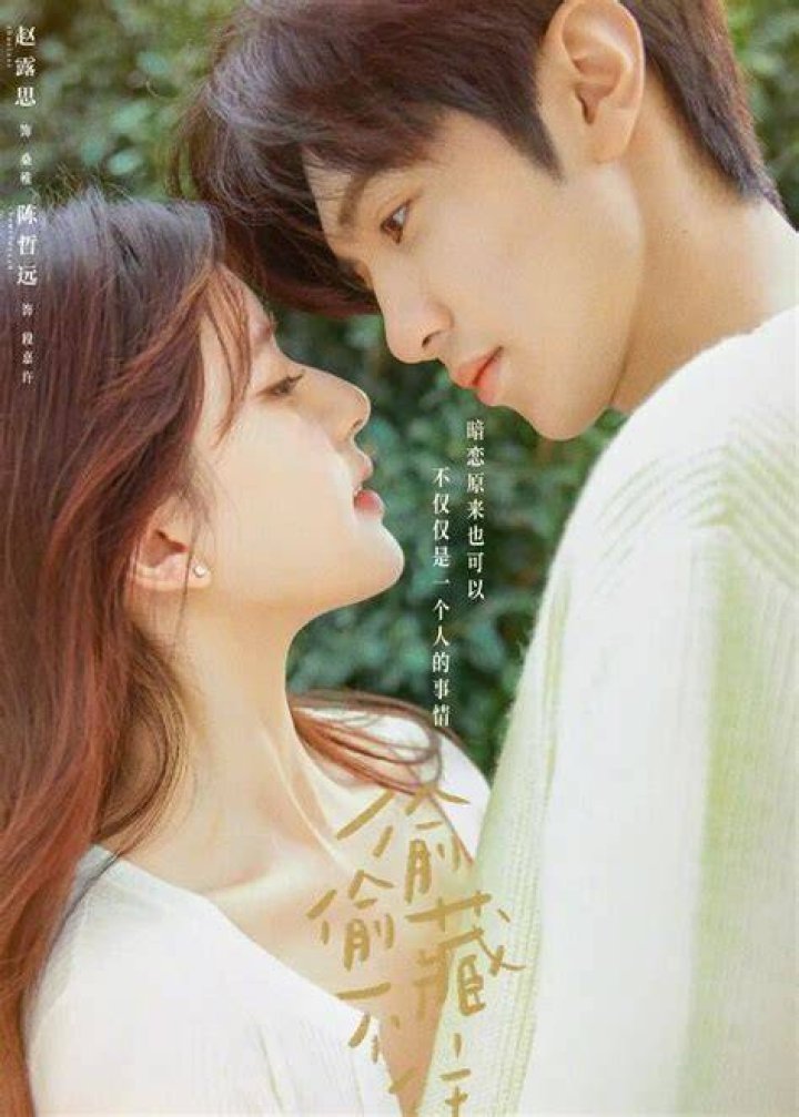 The Betrayal of Love: A Captivating Chinese Drama