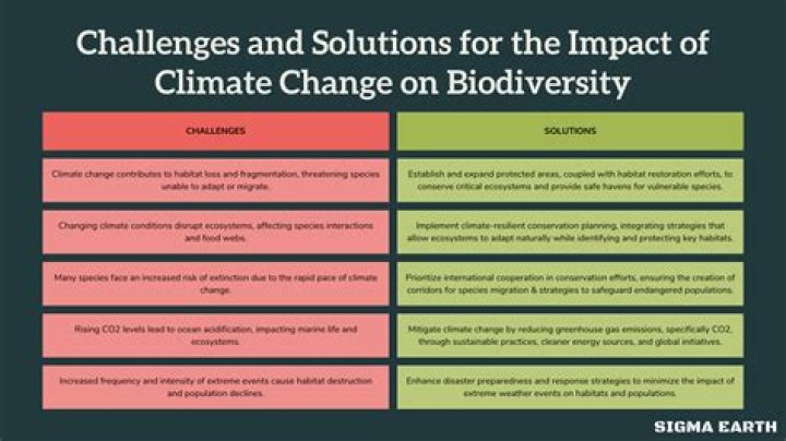 Understanding the Impact of Climate Change on Biodiversity