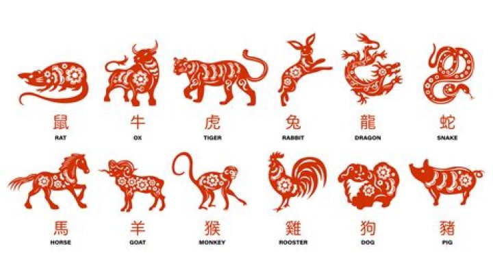 Unveiling the Mysteries of the Chinese Sign for 1991: Insights, Symbolism, and More