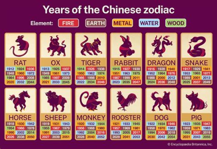 Unveiling the Mysteries of the Year of the 1991 Chinese Zodiac: Insights and Traditions