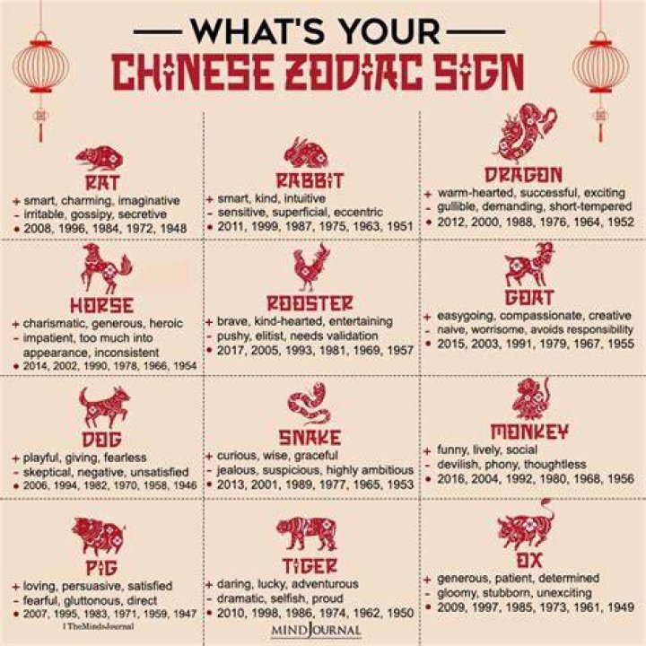 What Chinese Sign is 1991? Discover Your Zodiac Insights